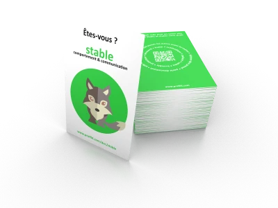 Pack 10 jeux de 4 cartes animaux (fr)